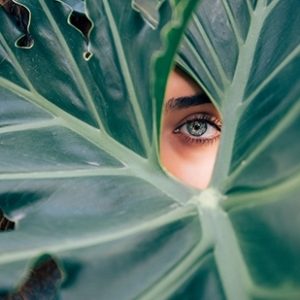 Ayurveda Wednesdays $30 off